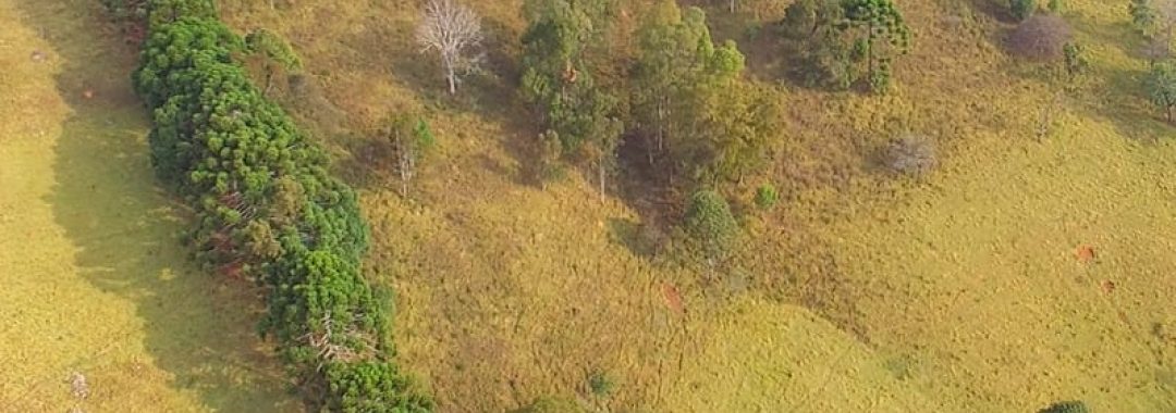 terreno-de-20-000-m²-a-1-550m-de-altitude-com-vista-panoramica-ideal-para-chales-na-ser (6)