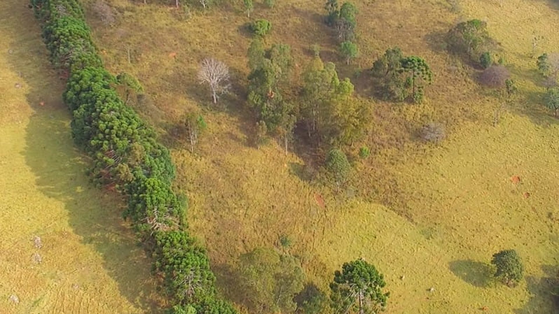 terreno-de-20-000-m²-a-1-550m-de-altitude-com-vista-panoramica-ideal-para-chales-na-ser (6)