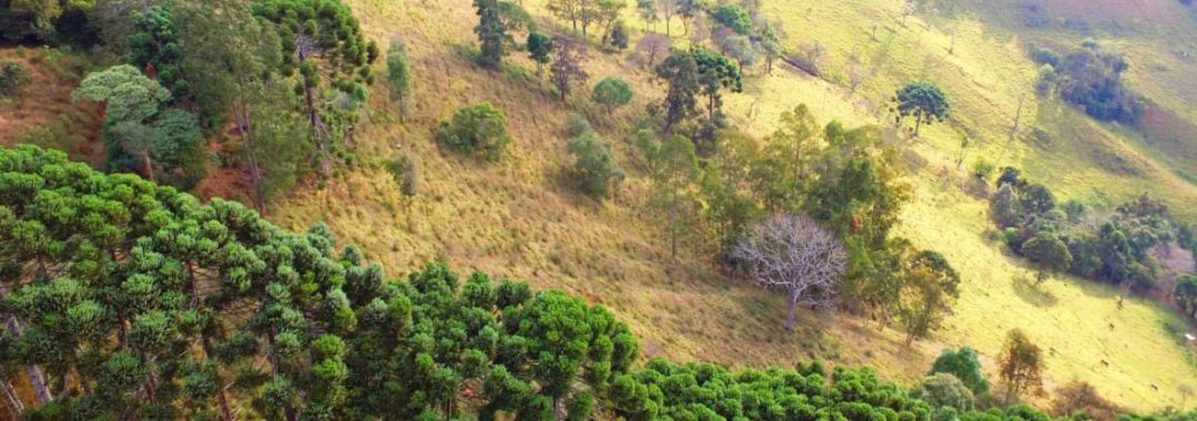 terreno-de-20-000-m²-a-1-550m-de-altitude-com-vista-panoramica-ideal-para-chales-na-ser (7)