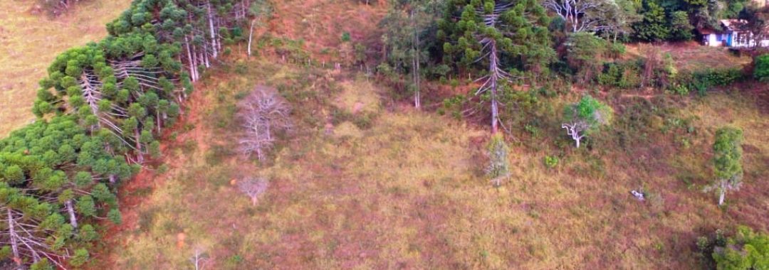 terreno-de-20-000-m²-a-1-550m-de-altitude-com-vista-panoramica-ideal-para-chales-na-ser
