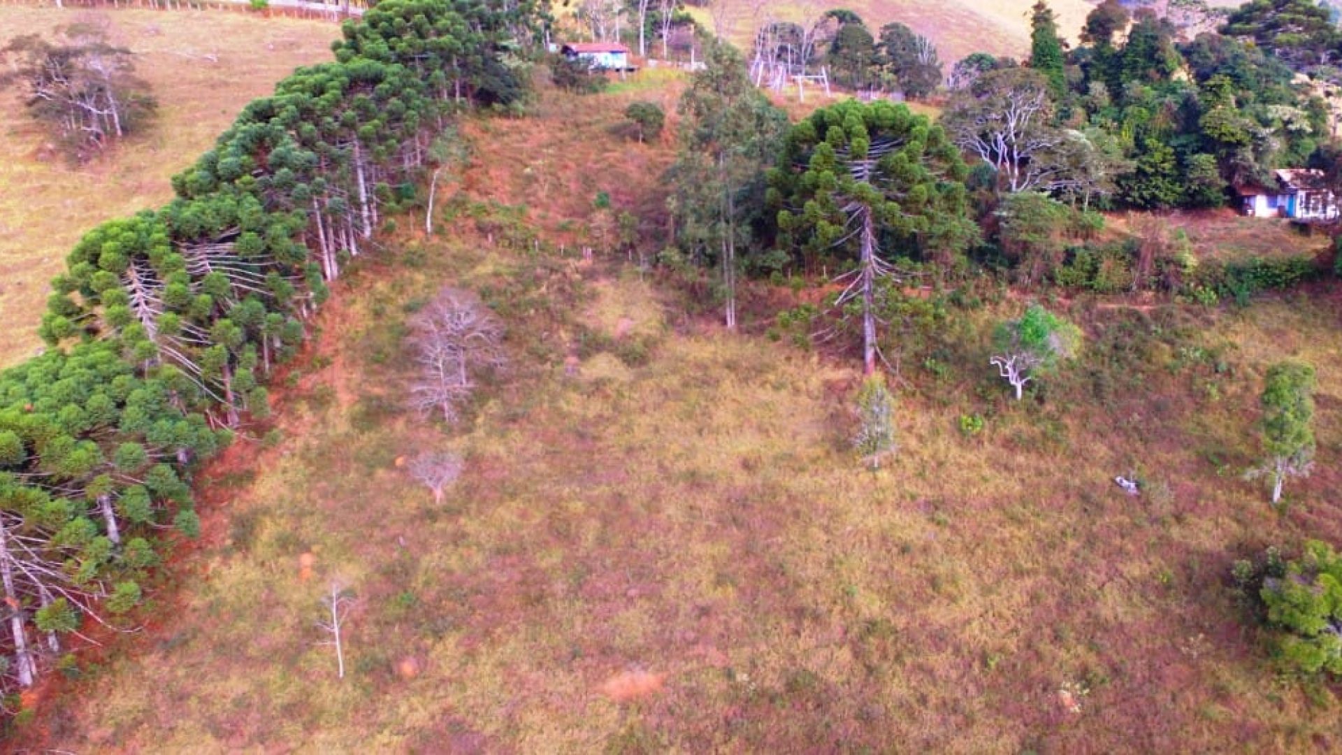 terreno-de-20-000-m²-a-1-550m-de-altitude-com-vista-panoramica-ideal-para-chales-na-ser