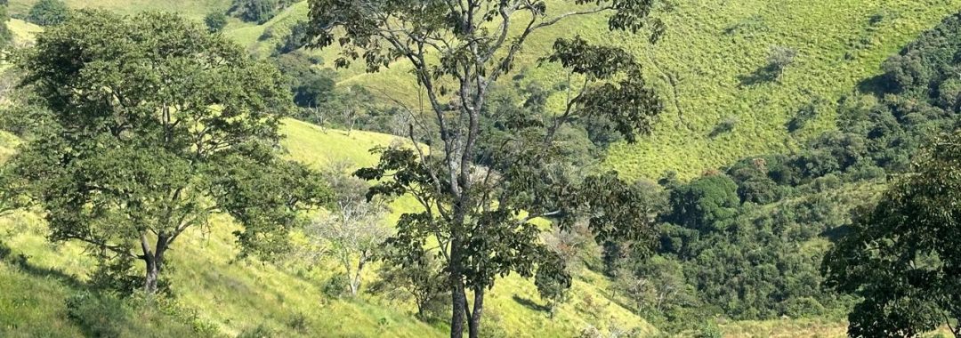 terreno-em-consolacao-mg (5)