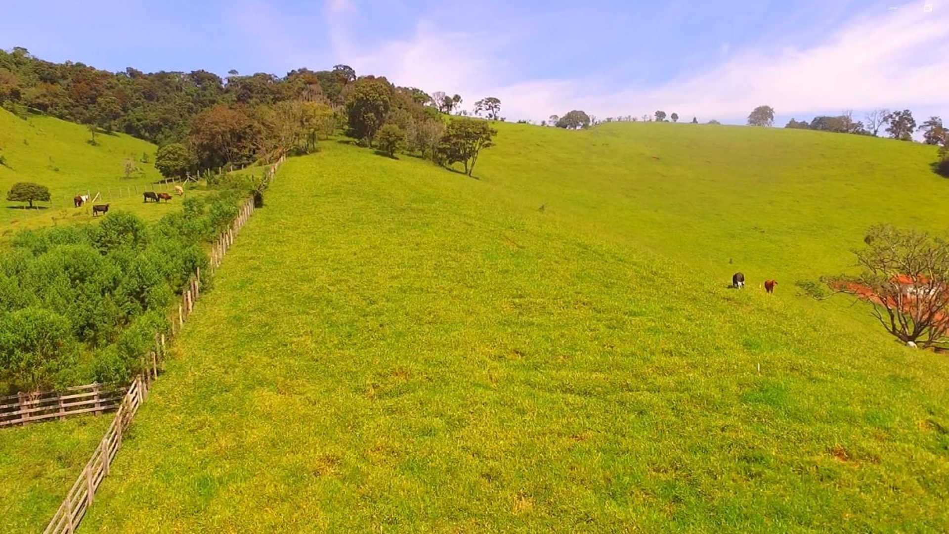 terreno para chacara de 20.000 m2 a venda em cambui mg, silva corretor, sul de minas (11)