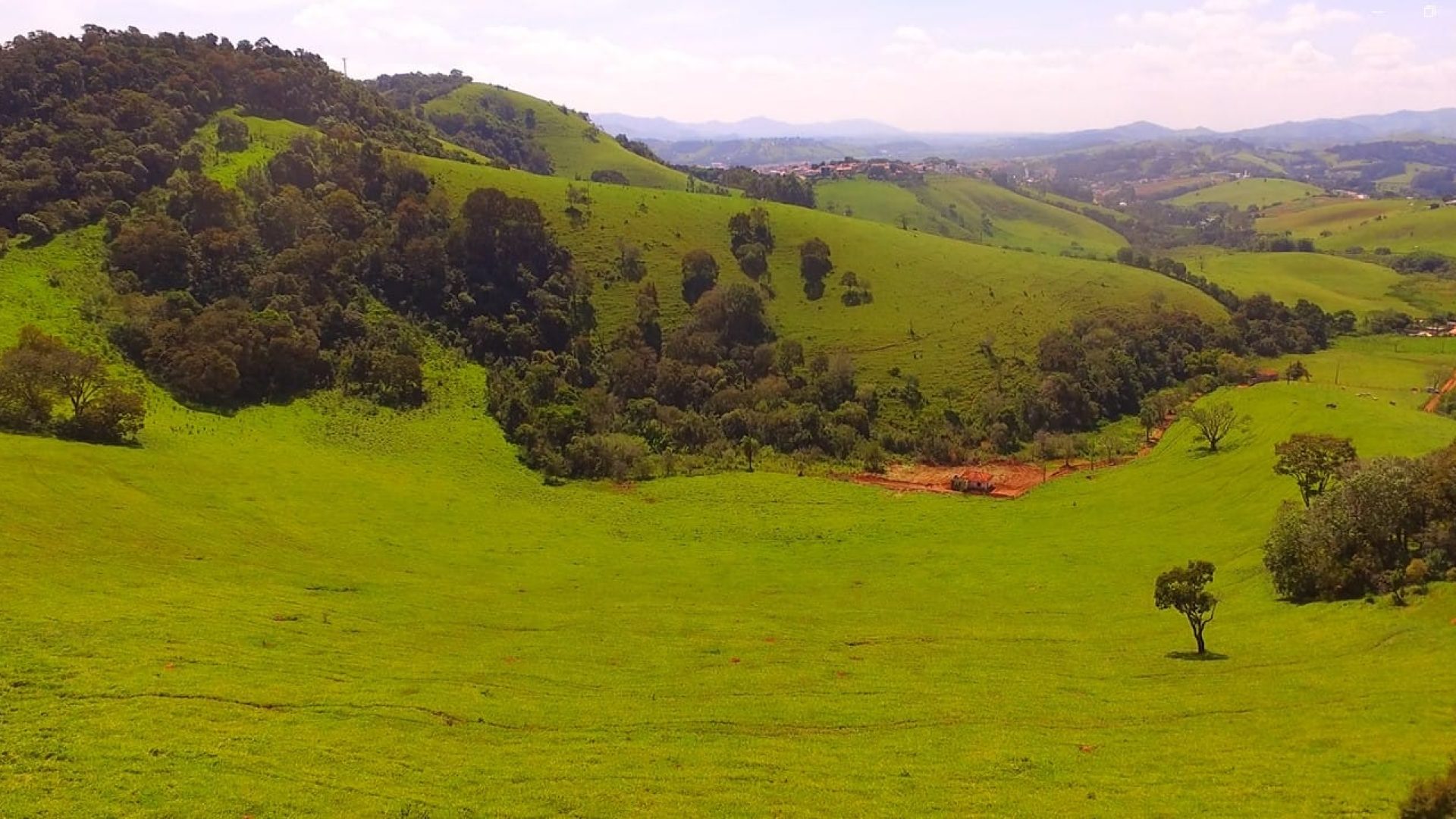 terreno para chacara de 20.000 m2 a venda em cambui mg, silva corretor, sul de minas (15)