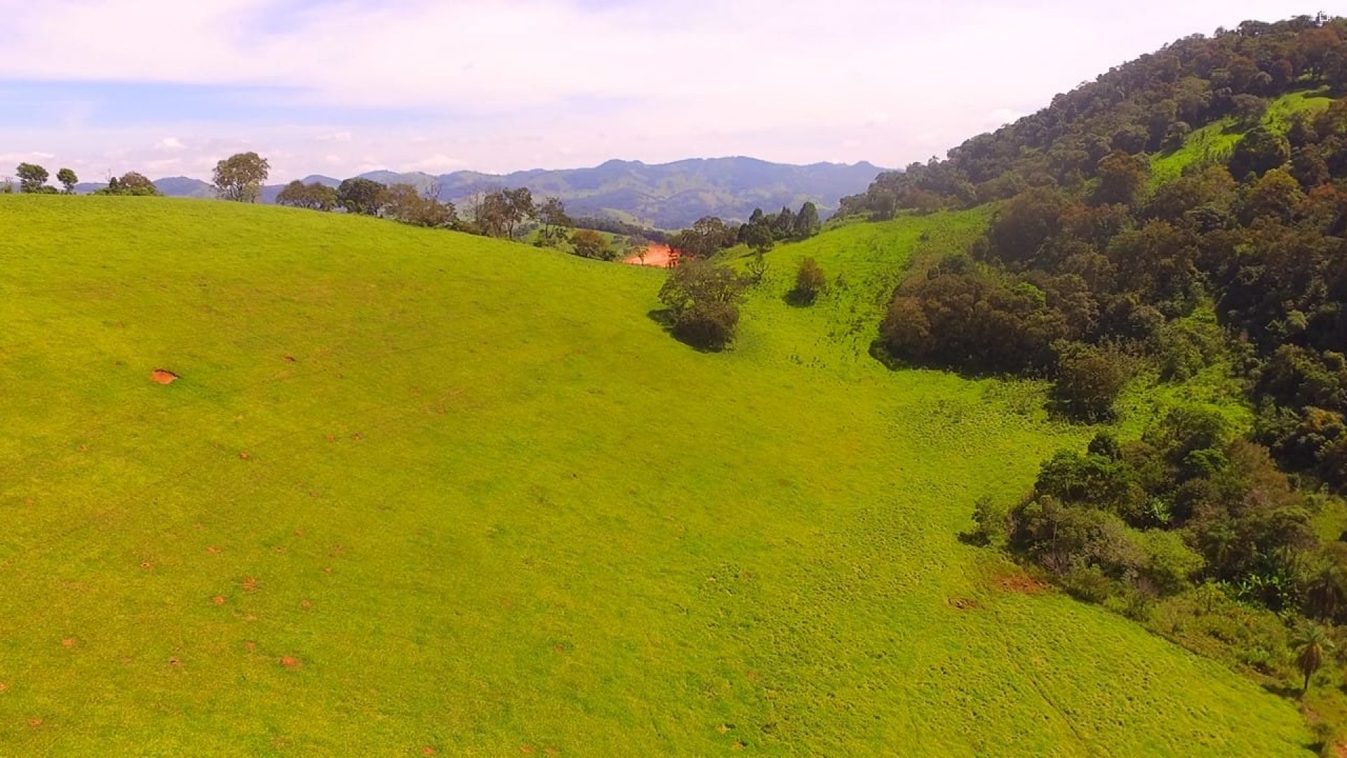 terreno para chacara de 20.000 m2 a venda em cambui mg, silva corretor, sul de minas (4)