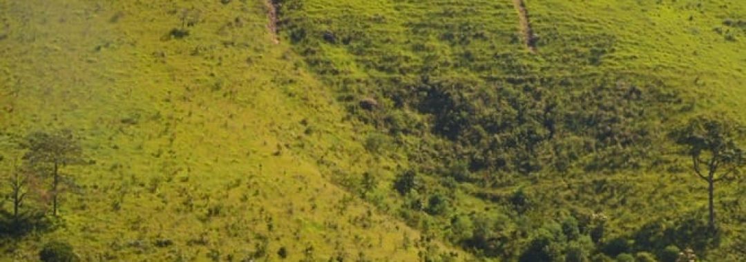 terreno-para-chale-mantiqueira (3)