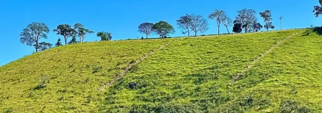terreno-para-chale-mantiqueira (3)