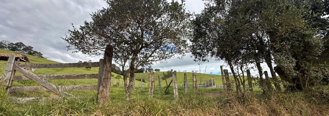 terreno-para-venda-em-cambui-210-000m², terreno rural em cambui, sul de minas, cambui mg, imobiliaria, suiça mineira, silva corretor (3)