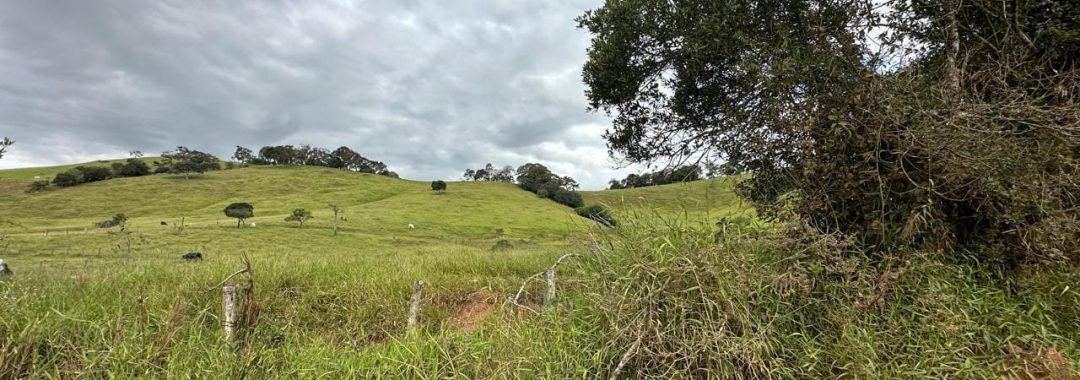 terreno-para-venda-em-cambui-210-000m², terreno rural em cambui, sul de minas, cambui mg, imobiliaria, suiça mineira, silva corretor (4)