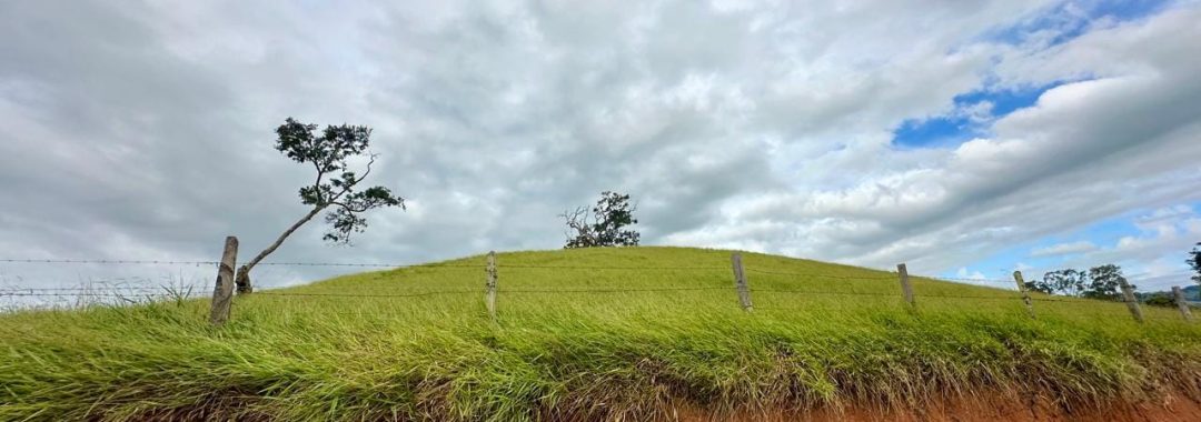 terreno-para-venda-em-cambui-210-000m², terreno rural em cambui, sul de minas, cambui mg, imobiliaria, suiça mineira, silva corretor (5)