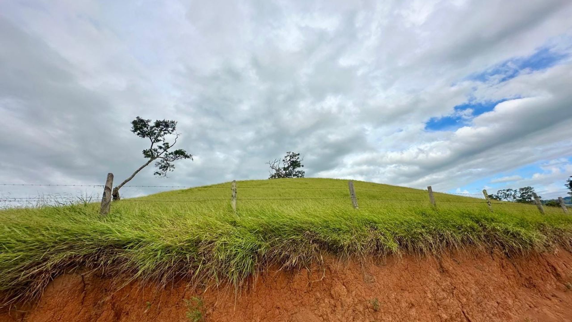 terreno-para-venda-em-cambui-210-000m², terreno rural em cambui, sul de minas, cambui mg, imobiliaria, suiça mineira, silva corretor (5)