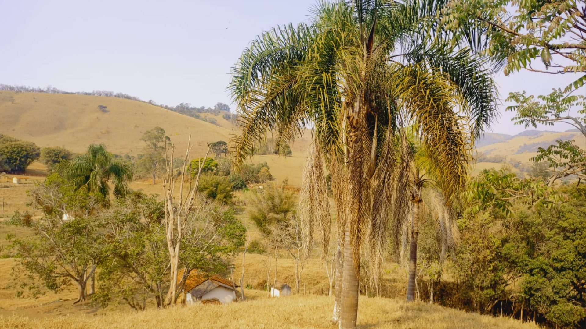 terreno-rural-a-venda-em-cambui-mg-24-200m² (10)