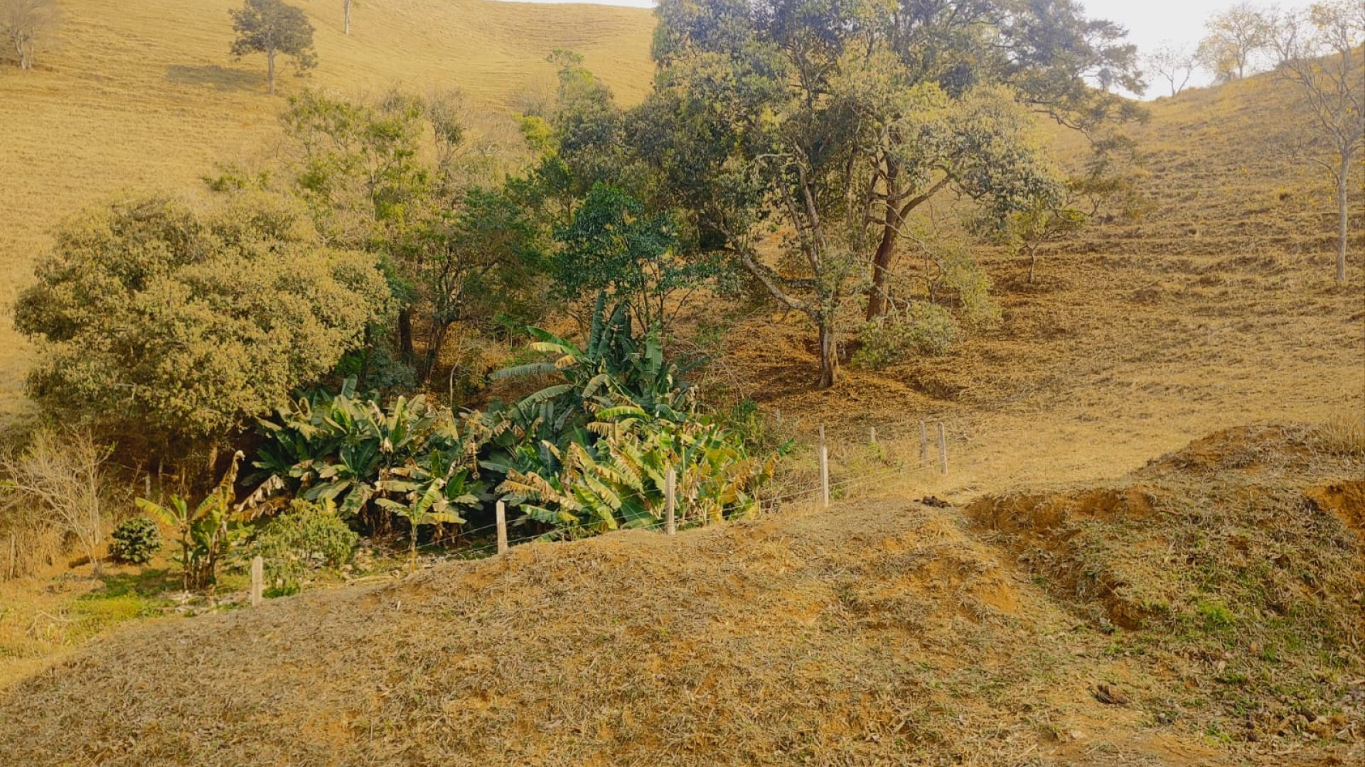 terreno-rural-a-venda-em-cambui-mg-24-200m² (11)