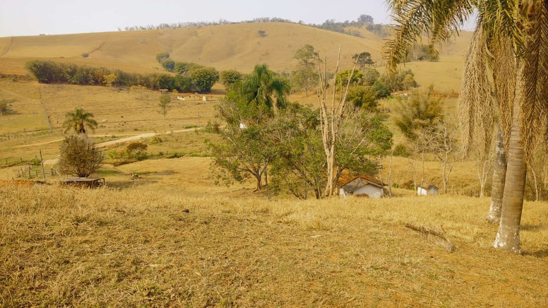 terreno-rural-a-venda-em-cambui-mg-24-200m² (14)