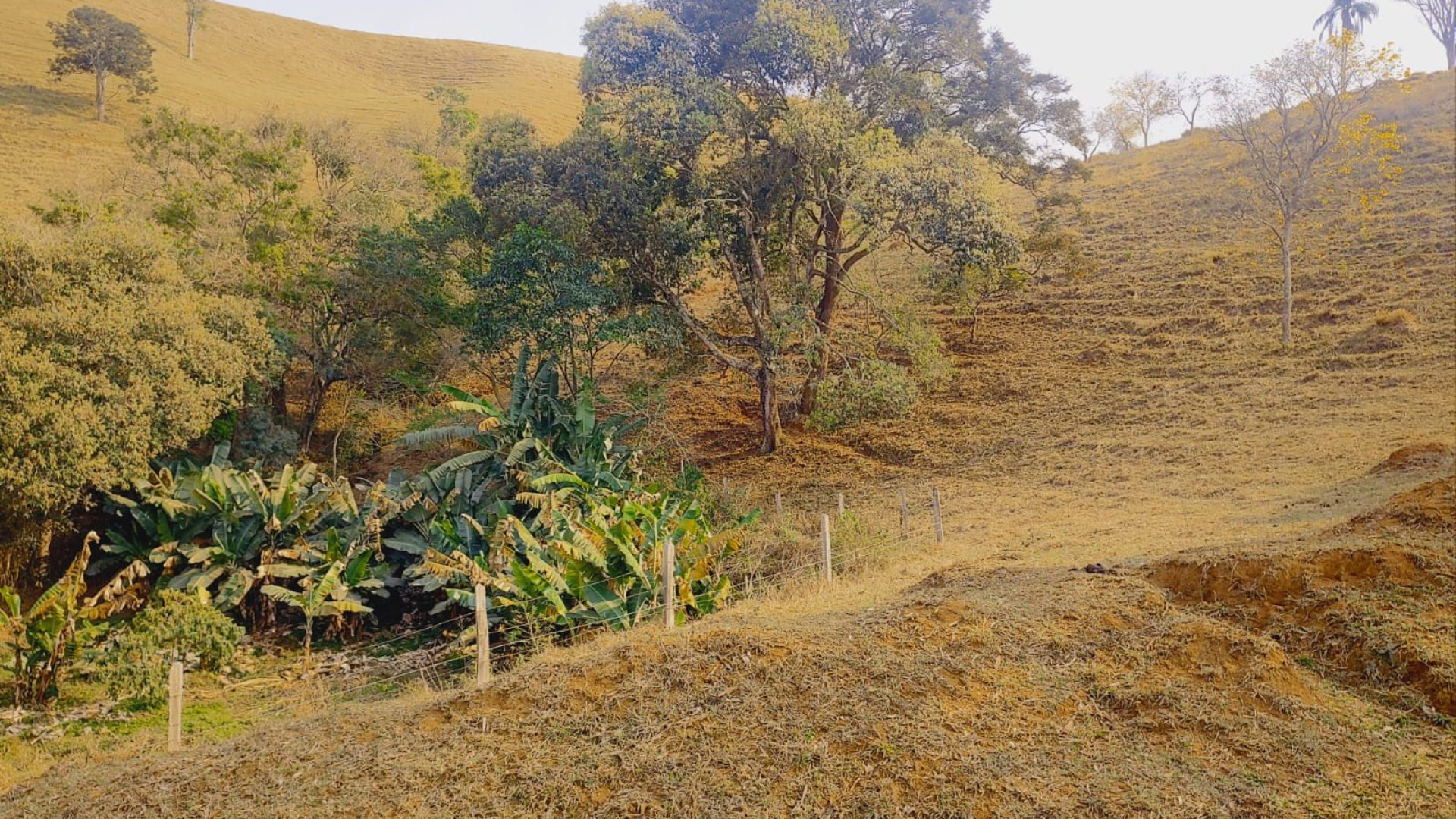 terreno-rural-a-venda-em-cambui-mg-24-200m² (15)