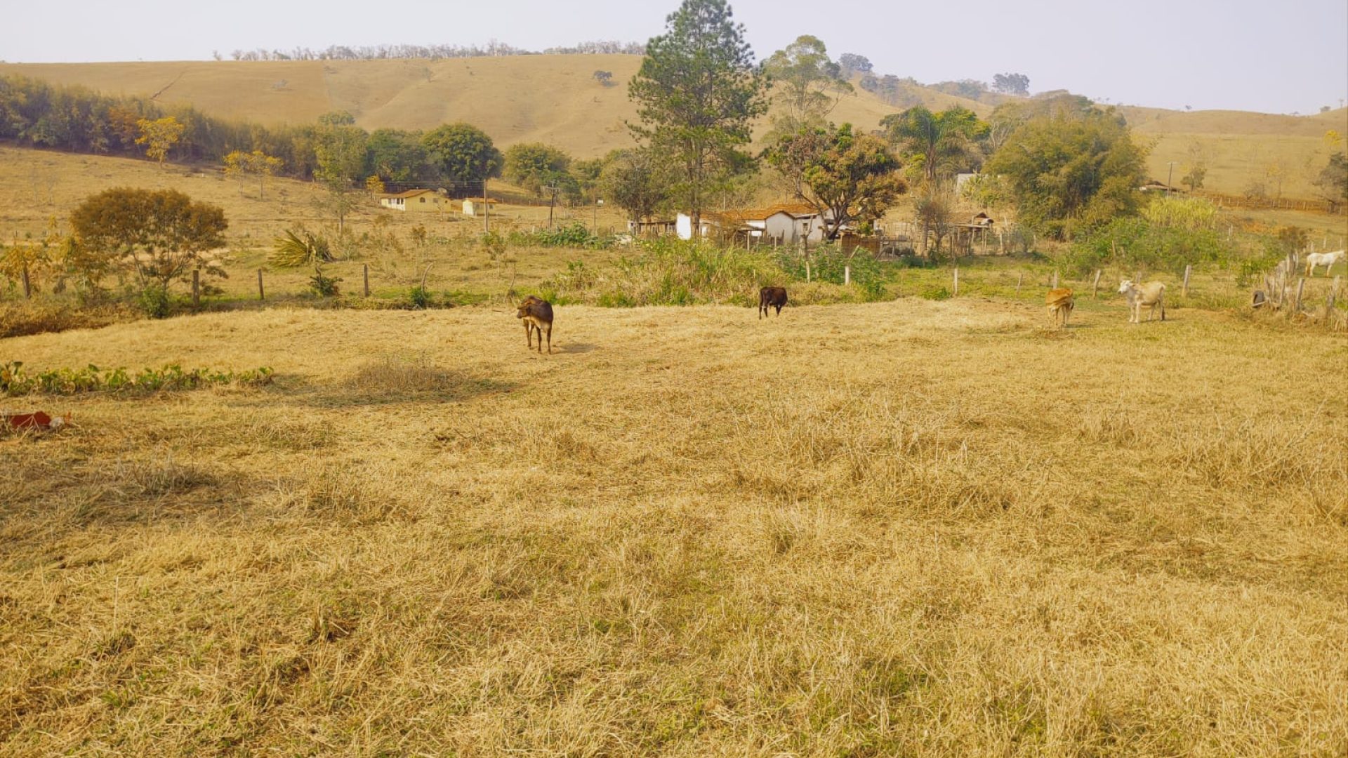 terreno-rural-a-venda-em-cambui-mg-24-200m² (23)