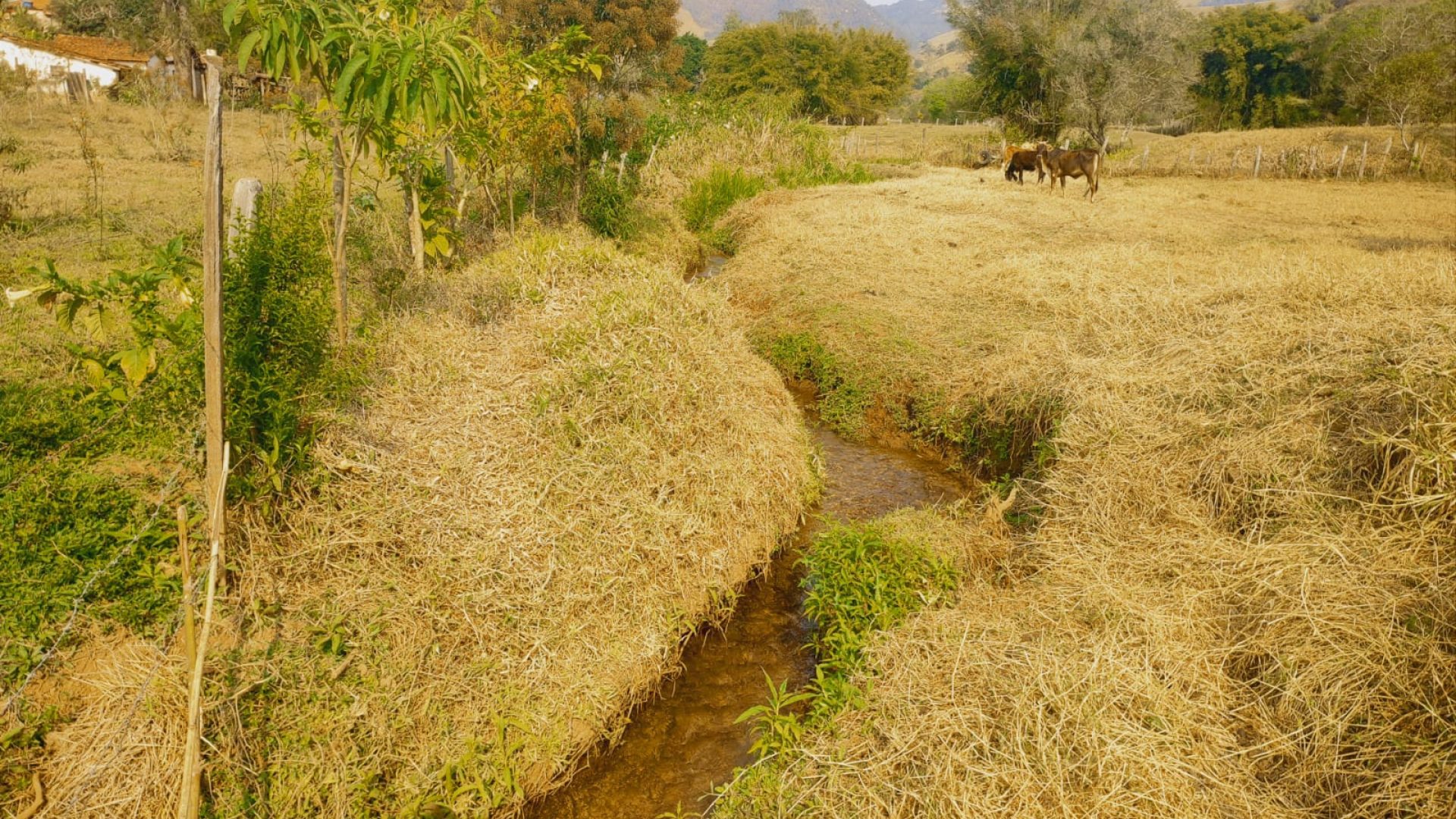 terreno-rural-a-venda-em-cambui-mg-24-200m² (27)