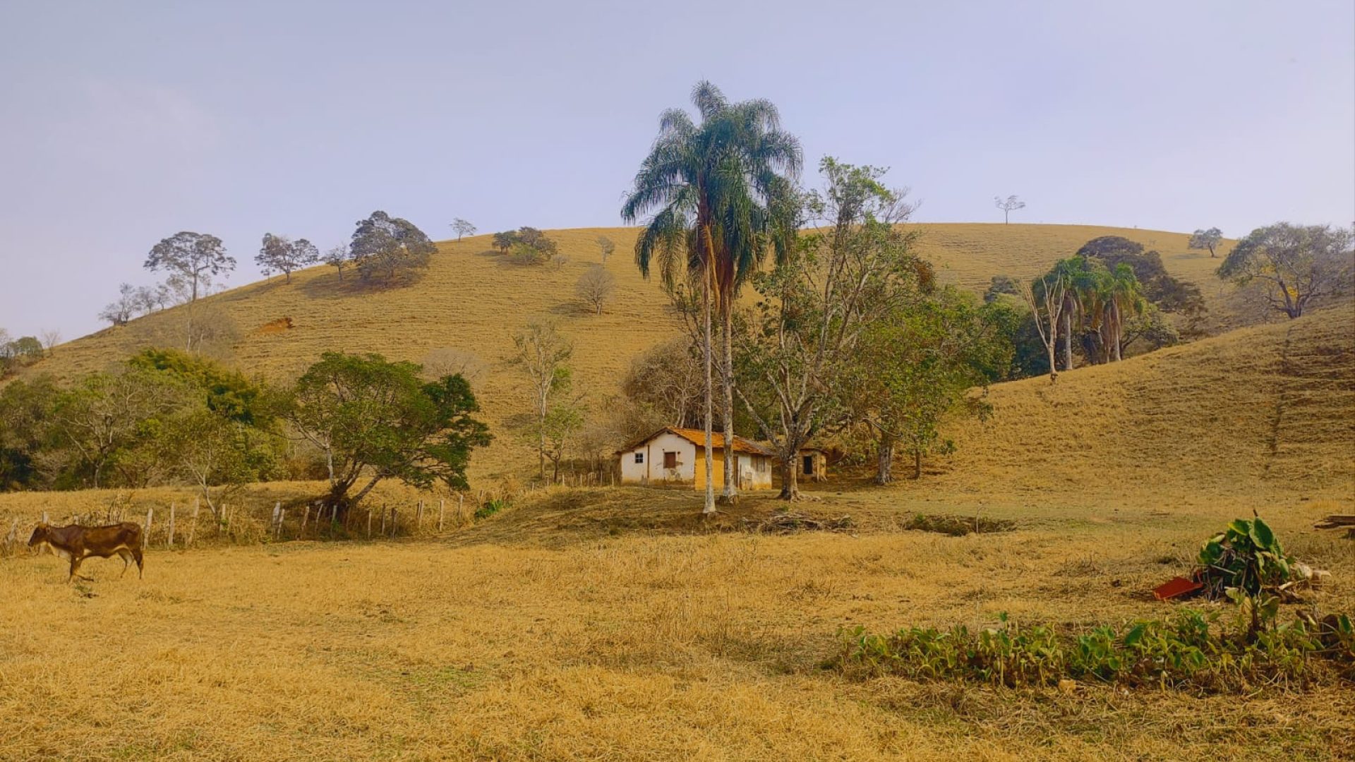 terreno-rural-a-venda-em-cambui-mg-24-200m² (4)