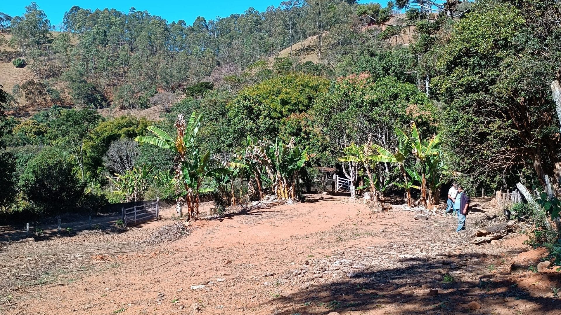 terreno-rural-a-venda-em-cambui-mg (7)