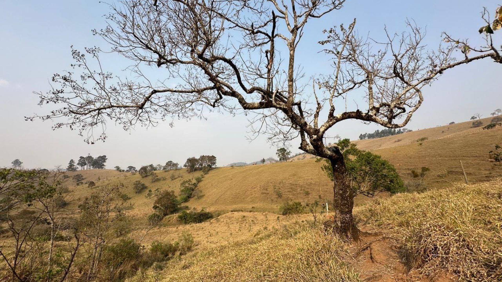 terreno rural a venda em cambui no sul de minas, cambui mg, terrenos rurais, sul de minas, (11)