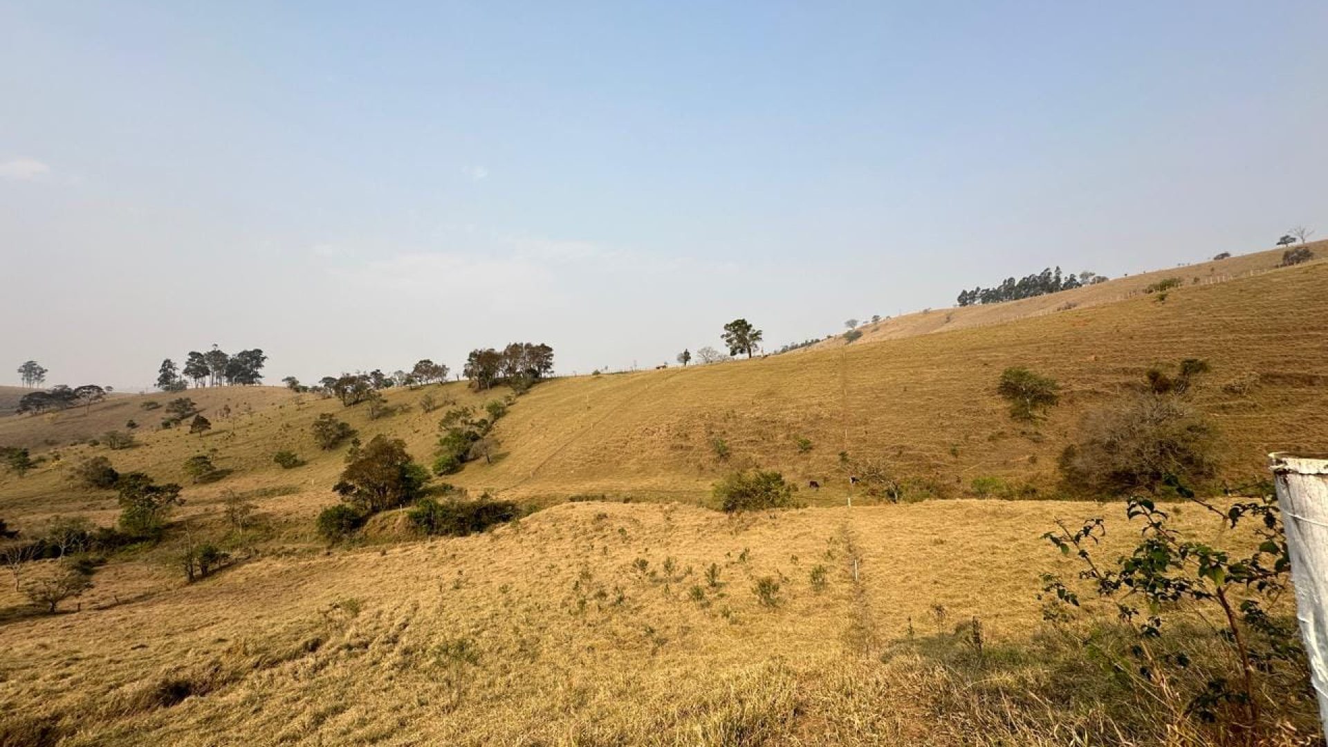 terreno rural a venda em cambui no sul de minas, cambui mg, terrenos rurais, sul de minas, (13)