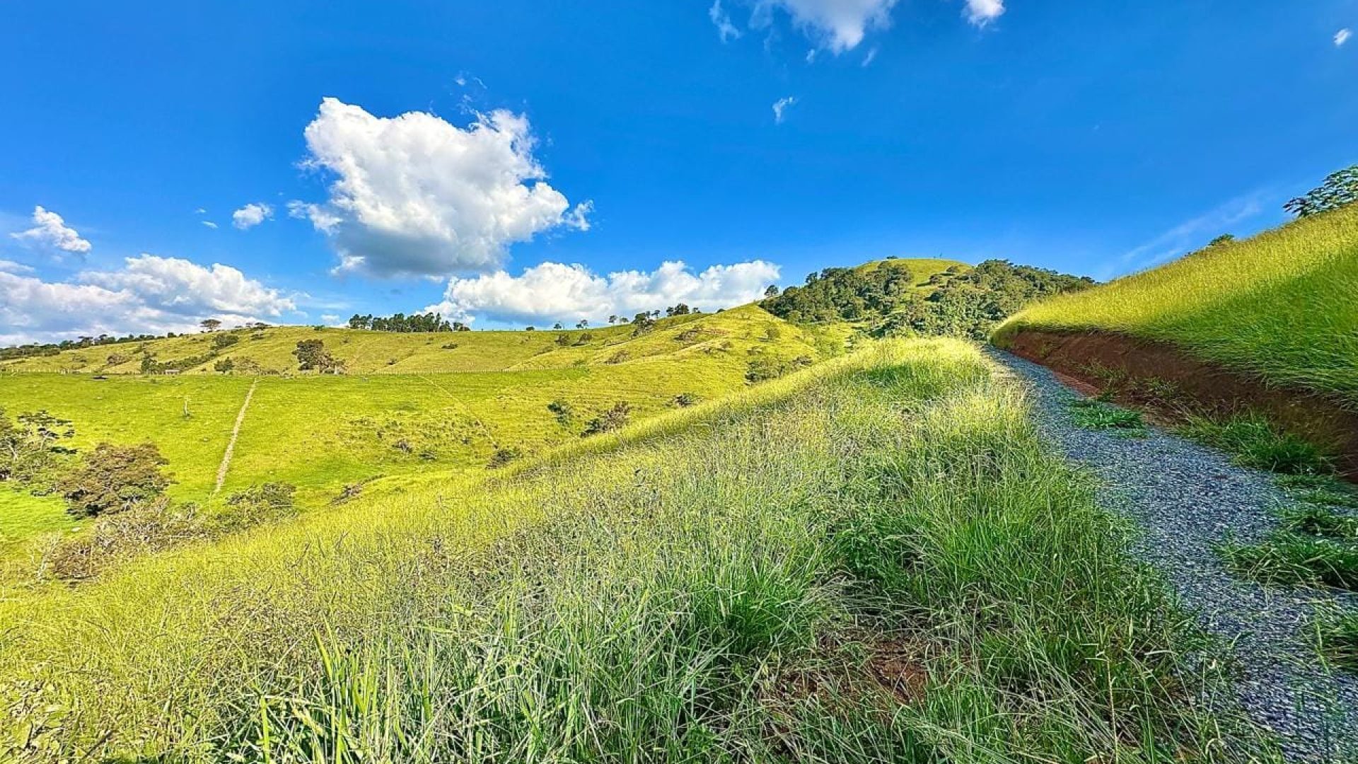 terreno rural a venda em cambui no sul de minas, cambui mg, terrenos rurais, sul de minas, (2)