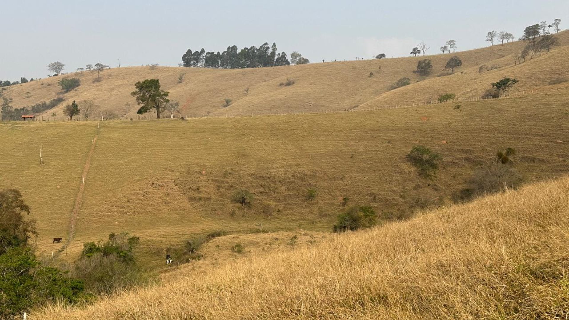 terreno rural a venda em cambui no sul de minas, cambui mg, terrenos rurais, sul de minas, (5)