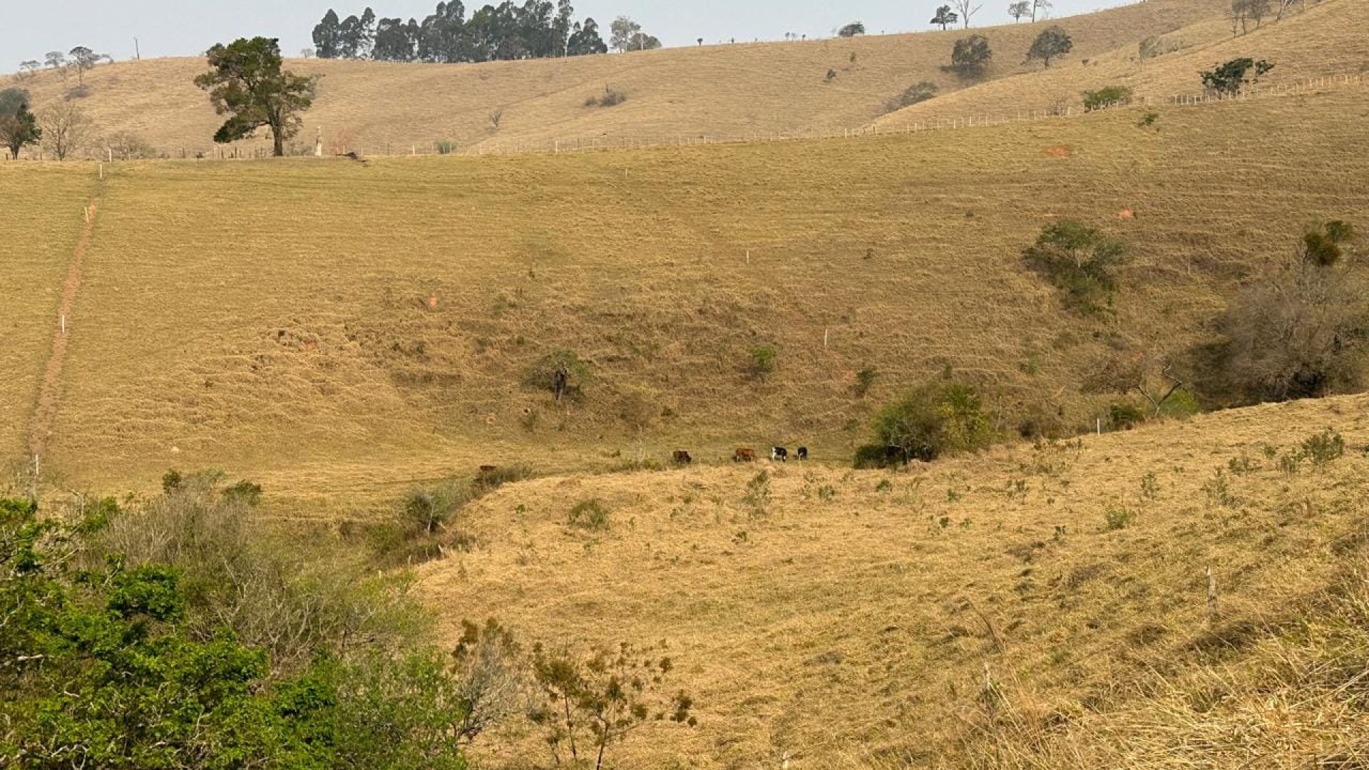 terreno rural a venda em cambui no sul de minas, cambui mg, terrenos rurais, sul de minas, (8)