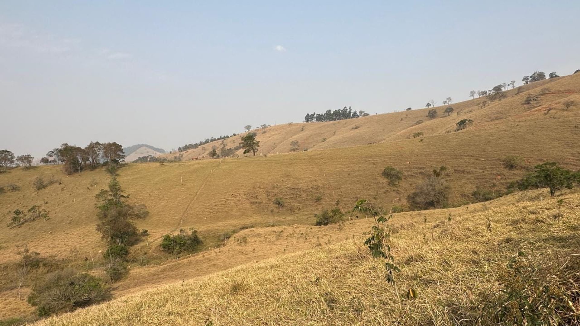 terreno rural a venda em cambui no sul de minas, cambui mg, terrenos rurais, sul de minas, (9)