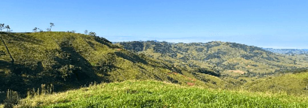 terreno rural, cambui mg, consolacao mg, serra da mantiqueira, caminho da fe, vista para montanhas, chacara, lote com infraestrutura, casa de campo, investimento rural (1)