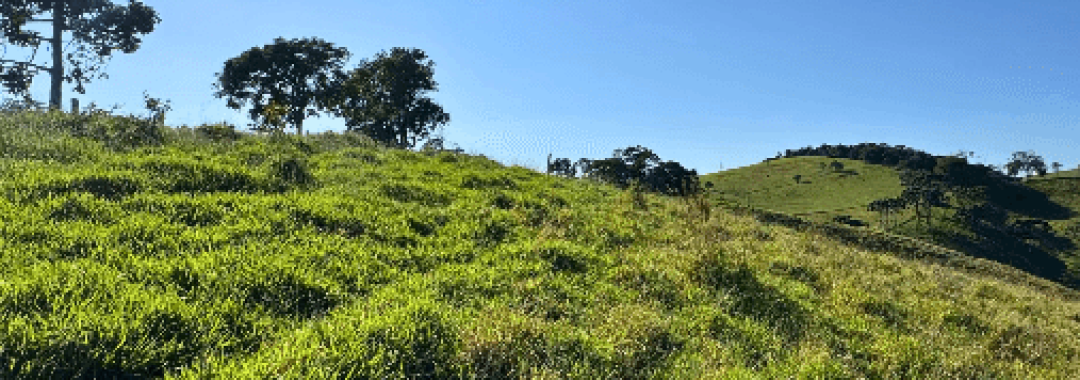 terreno rural, cambui mg, consolacao mg, serra da mantiqueira, caminho da fe, vista para montanhas, chacara, lote com infraestrutura, casa de campo, investimento rural (5)