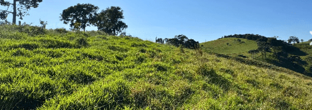 terreno rural, cambui mg, consolacao mg, serra da mantiqueira, caminho da fe, vista para montanhas, chacara, lote com infraestrutura, casa de campo, investimento rural (6)
