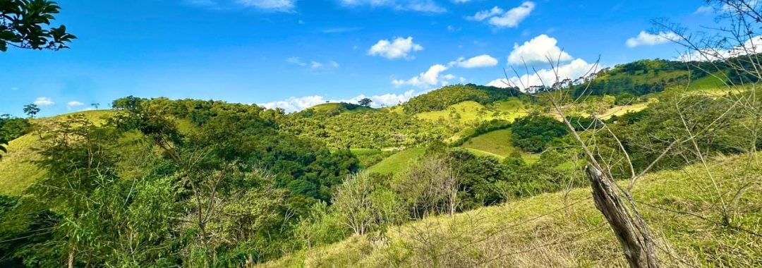 terreno-rural-com-28-000m²-a-venda-em-cambui-sul-de-minas (1)