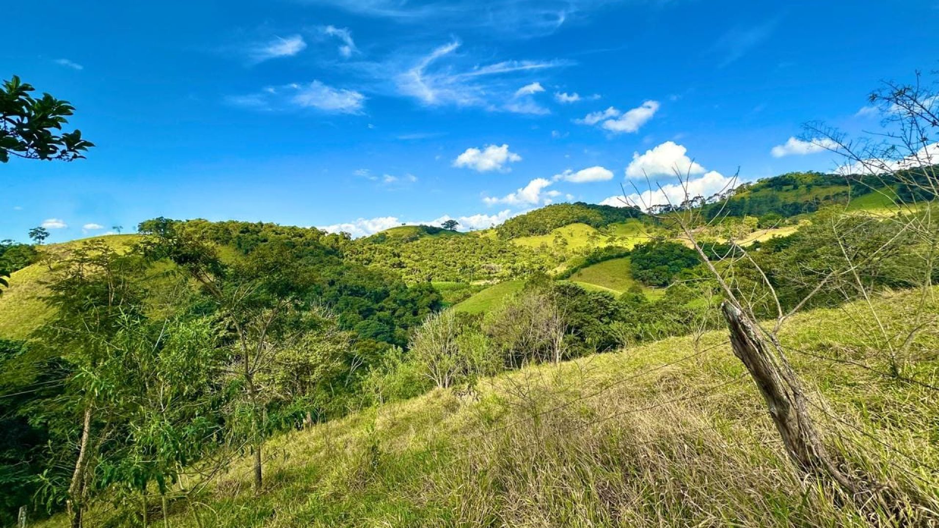 terreno-rural-com-28-000m²-a-venda-em-cambui-sul-de-minas (1)