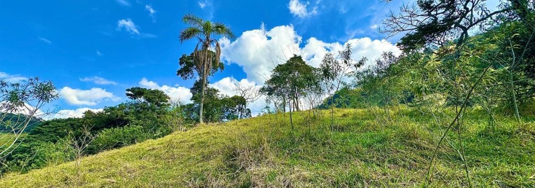 terreno-rural-com-28-000m²-a-venda-em-cambui-sul-de-minas (2)