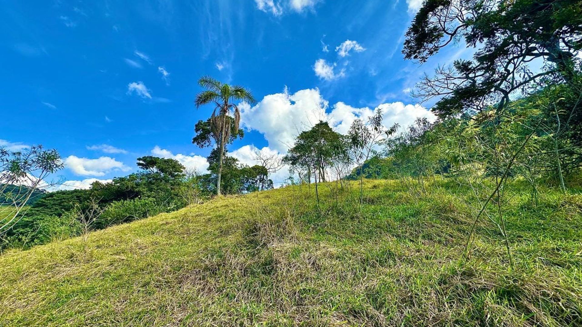 terreno-rural-com-28-000m²-a-venda-em-cambui-sul-de-minas (2)