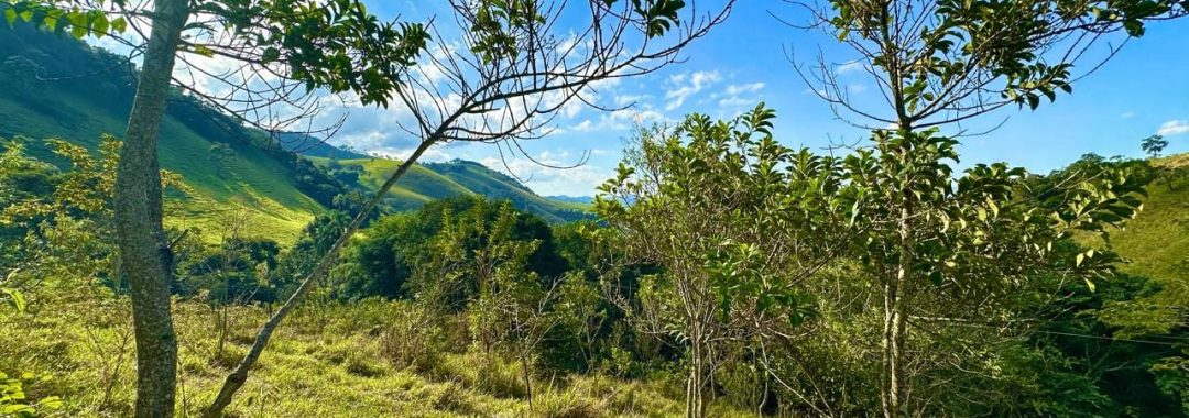 terreno-rural-com-28-000m²-a-venda-em-cambui-sul-de-minas (3)