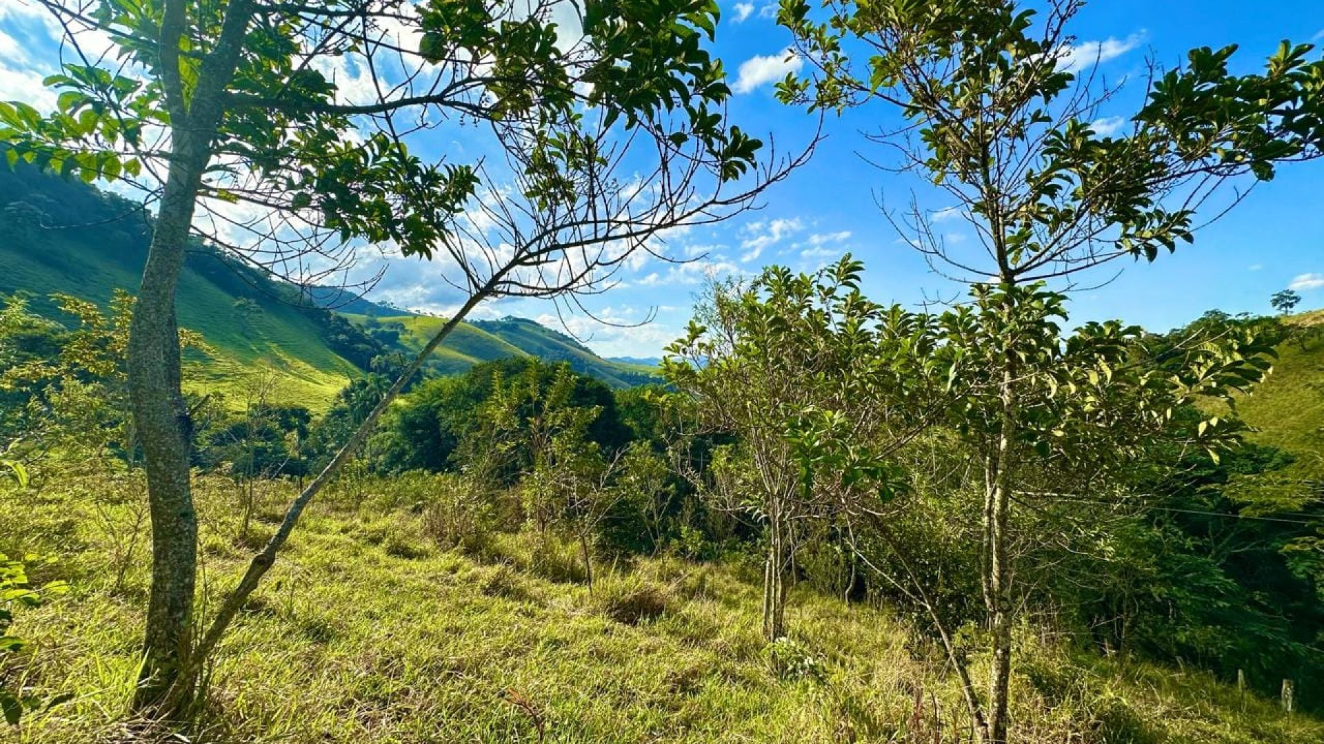 terreno-rural-com-28-000m²-a-venda-em-cambui-sul-de-minas (3)