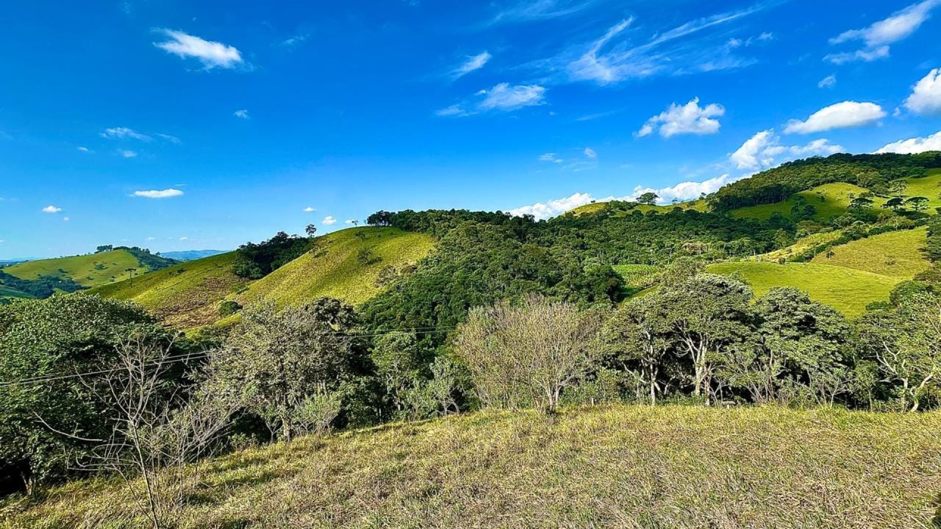 terreno-rural-com-28-000m²-a-venda-em-cambui-sul-de-minas (4)