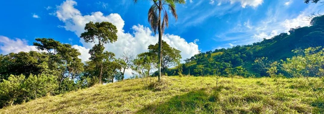 terreno-rural-com-28-000m²-a-venda-em-cambui-sul-de-minas (5)