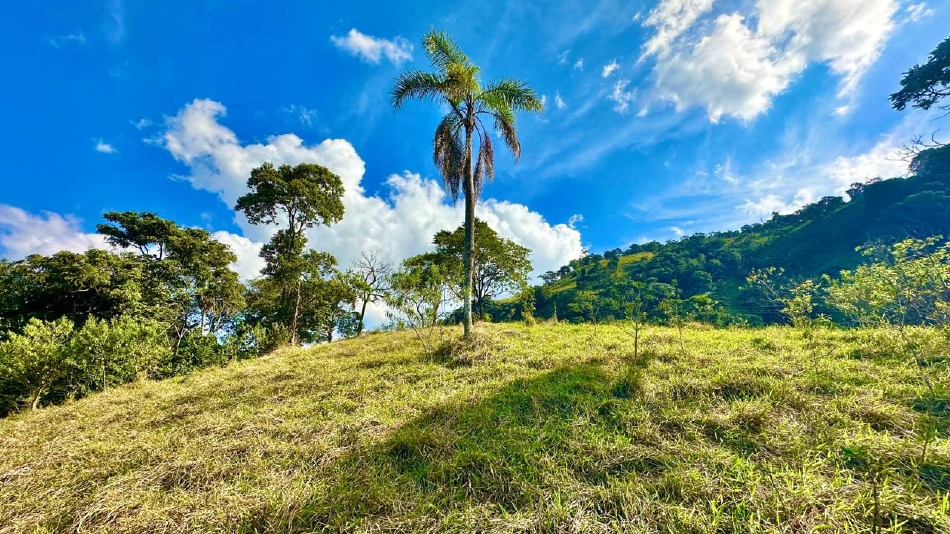 terreno-rural-com-28-000m²-a-venda-em-cambui-sul-de-minas (5)