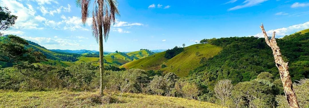 terreno-rural-com-28-000m²-a-venda-em-cambui-sul-de-minas (6)