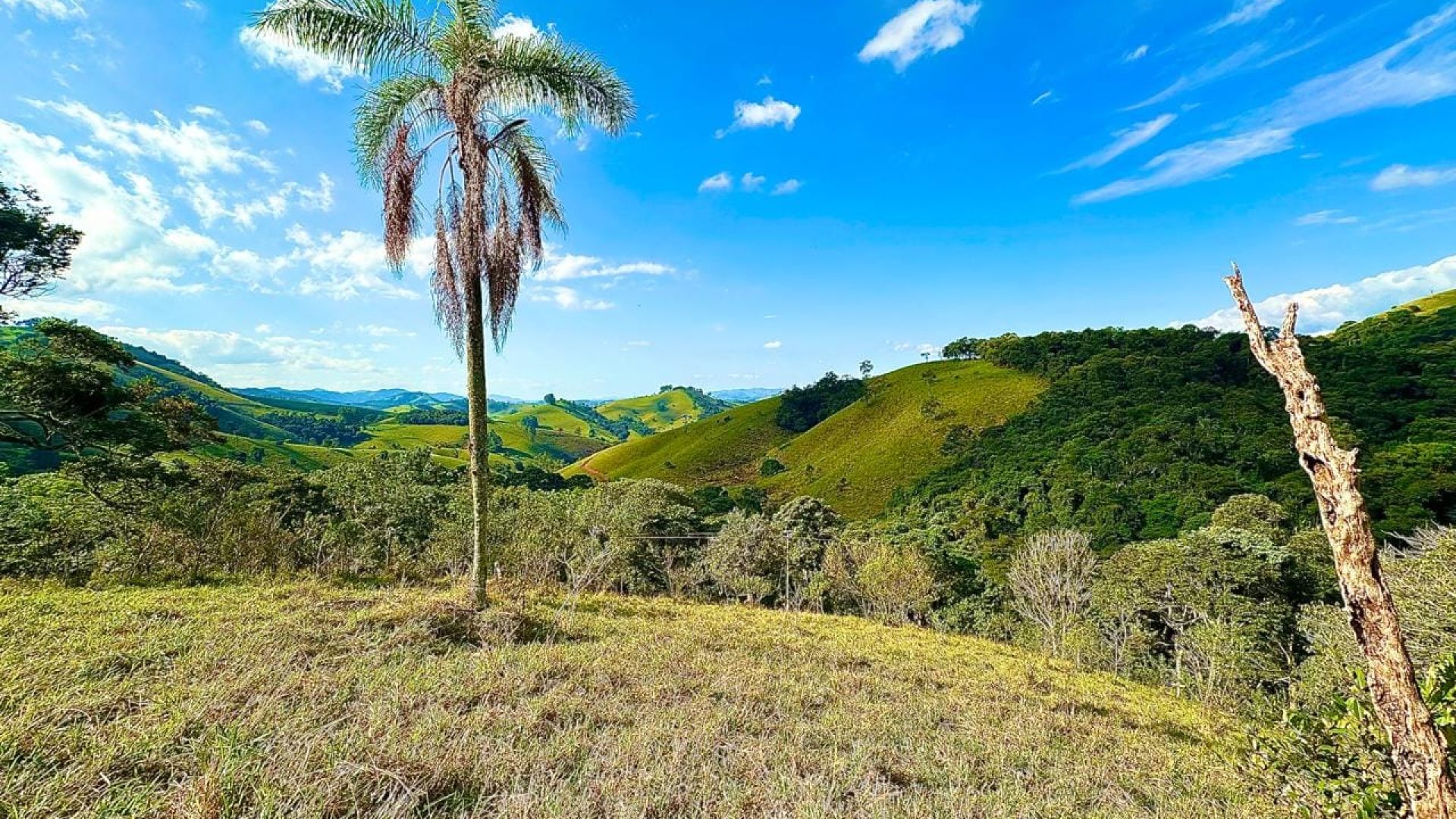 terreno-rural-com-28-000m²-a-venda-em-cambui-sul-de-minas (6)