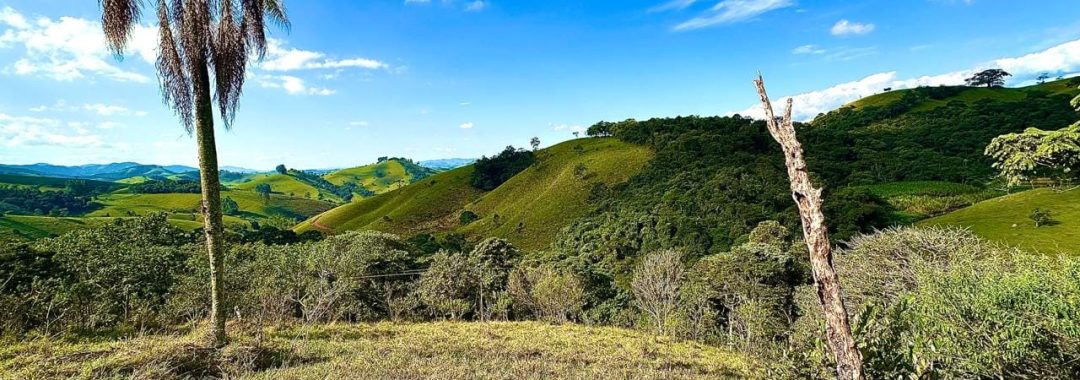 terreno-rural-com-28-000m²-a-venda-em-cambui-sul-de-minas (7)