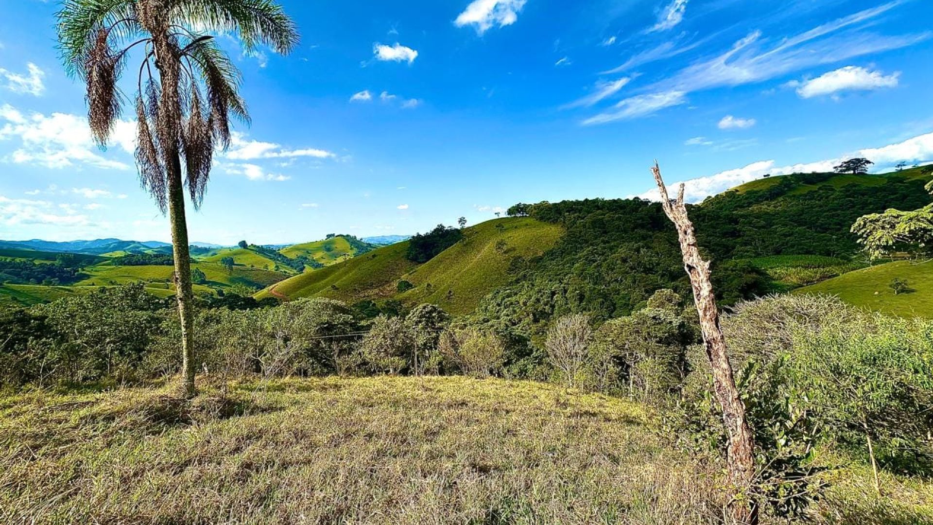 terreno-rural-com-28-000m²-a-venda-em-cambui-sul-de-minas (7)