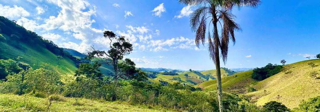 terreno-rural-com-28-000m²-a-venda-em-cambui-sul-de-minas (8)