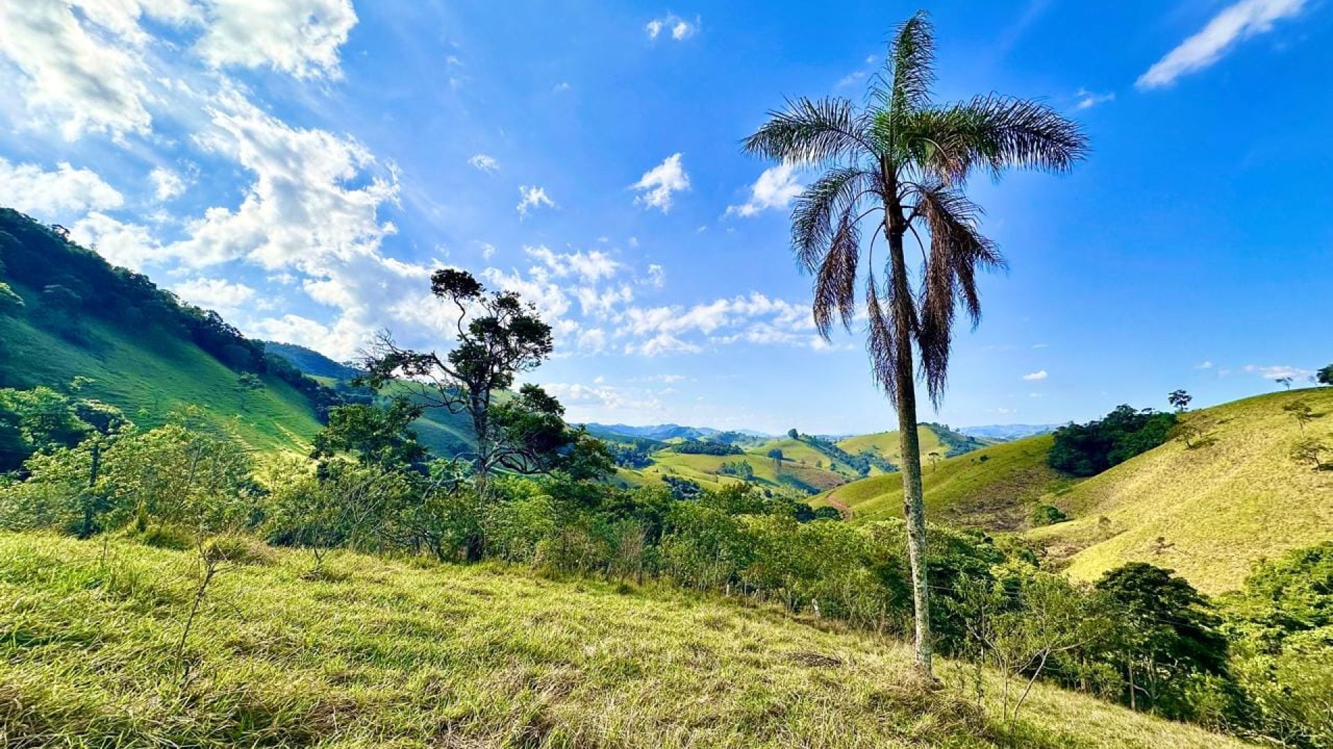 terreno-rural-com-28-000m²-a-venda-em-cambui-sul-de-minas (8)