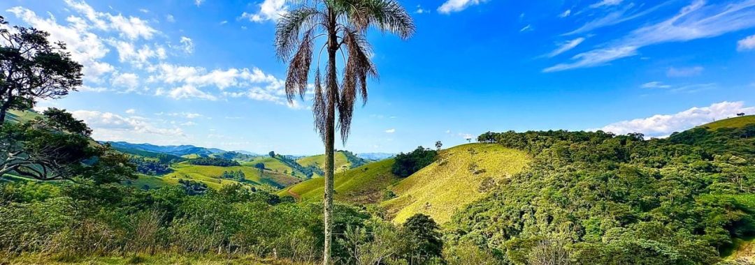 terreno-rural-com-28-000m²-a-venda-em-cambui-sul-de-minas (9)