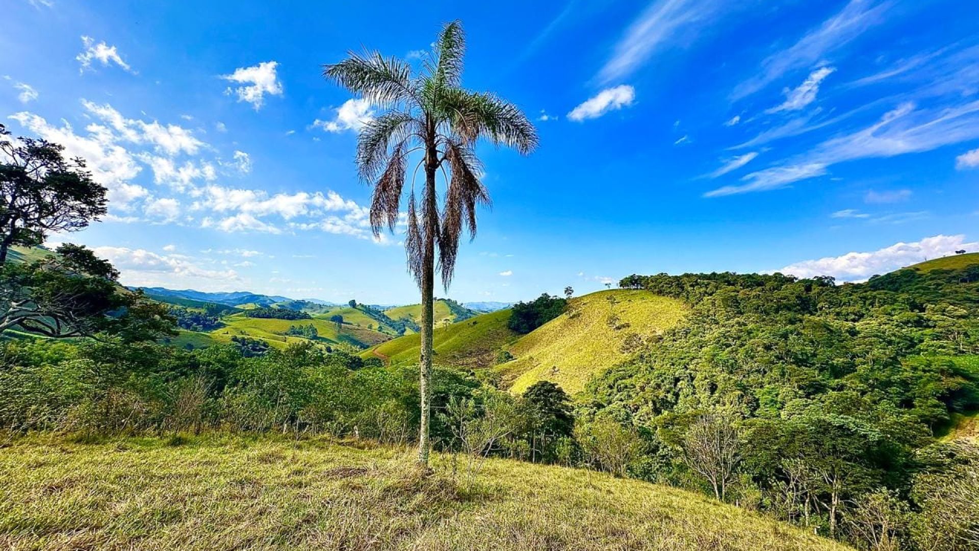 terreno-rural-com-28-000m²-a-venda-em-cambui-sul-de-minas (9)