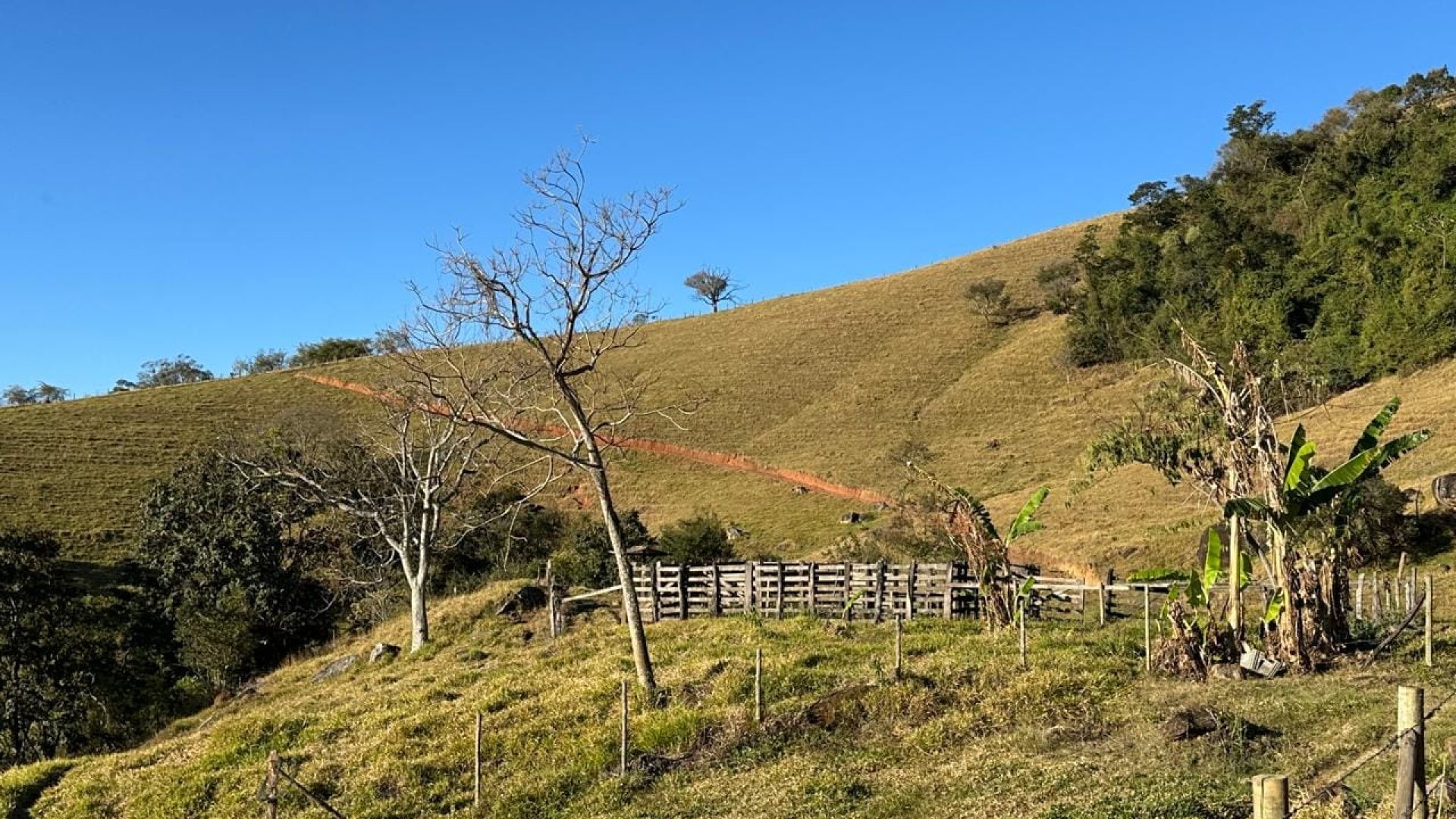 terreno-rural-de-10-alqueires-na-serra-da-mantiqueira-vista-panoramica-e-nascente-corrego-do-bom-jesus-mg (13)